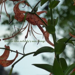 Dance like nobody’s watching!